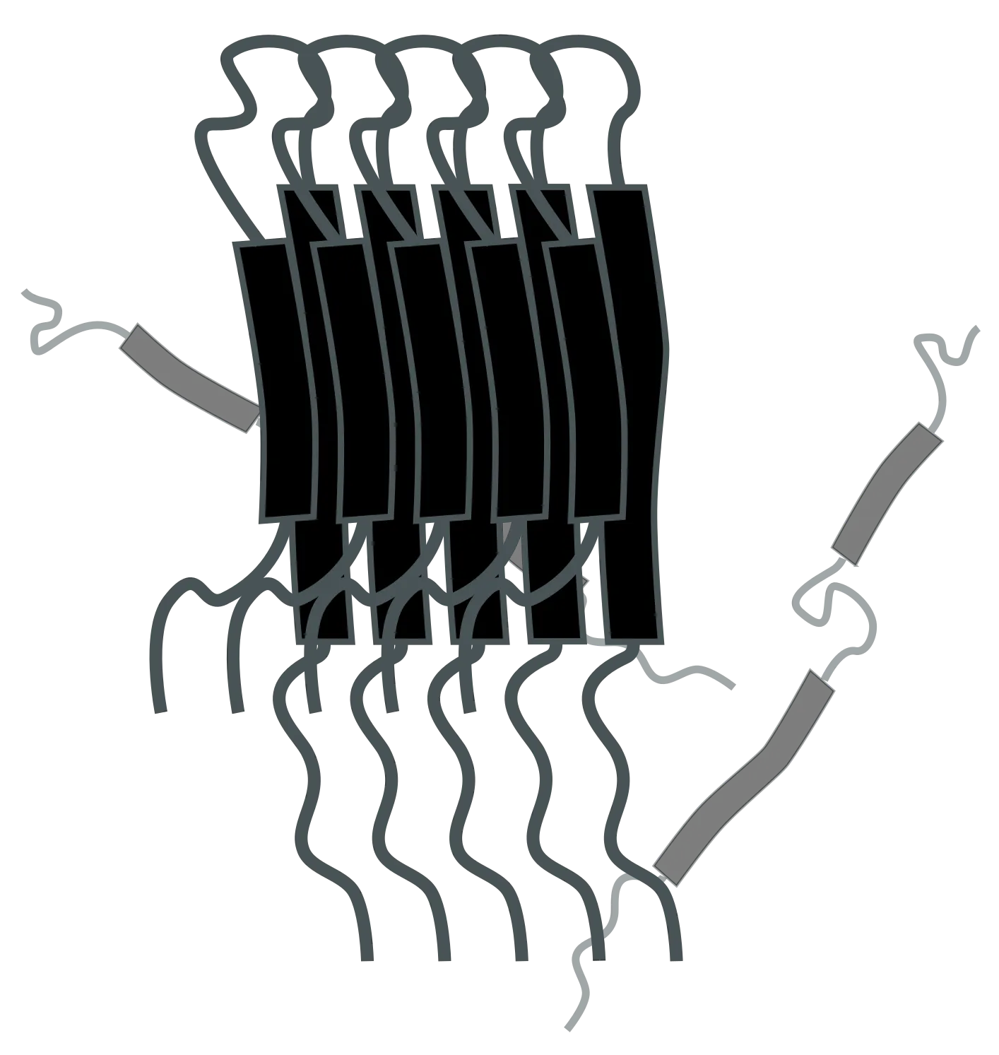Oligomer
